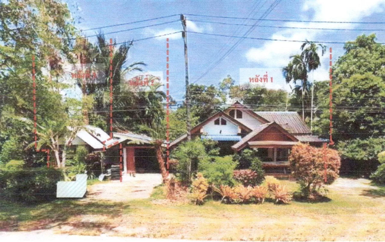 ขายทอดตลาด ที่ดินพร้อมสิ่งปลูกสร้าง ต.เหนือคลอง อ.กิ่งอำเภอเหนือคลอง จ.กระบี่