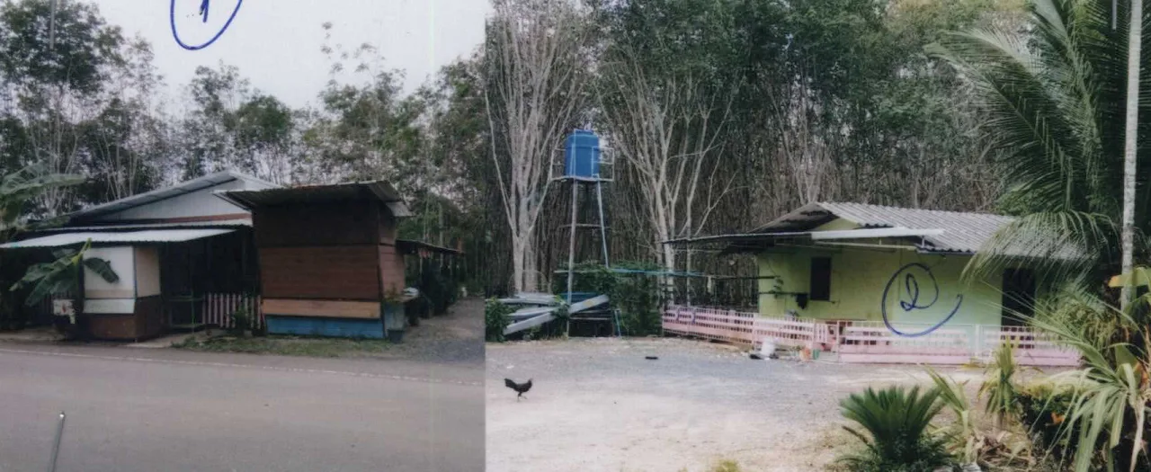 ขายทอดตลาด ที่ดินพร้อมสิ่งปลูกสร้าง ต.นาหมื่นศรี อ.นาโยง จ.ตรัง