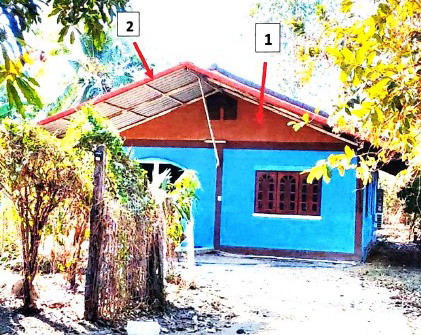 ขายทอดตลาด ที่ดินพร้อมสิ่งปลูกสร้าง ต.เขาทราย อ.ทับคล้อ จ.พิจิตร