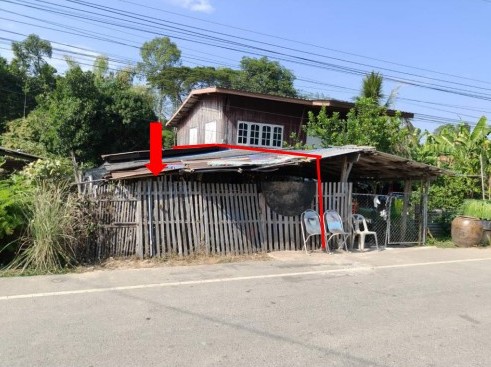 ขายทอดตลาด ที่ดินพร้อมสิ่งปลูกสร้าง ต.ท่าช้าง อ.พรหมพิราม จ.พิษณุโลก