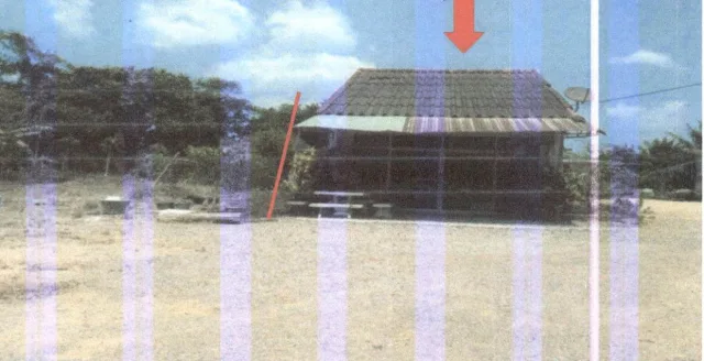 ขายทอดตลาด ที่ดินพร้อมสิ่งปลูกสร้าง ต.ลำทับ อ.ลำทับ จ.กระบี่