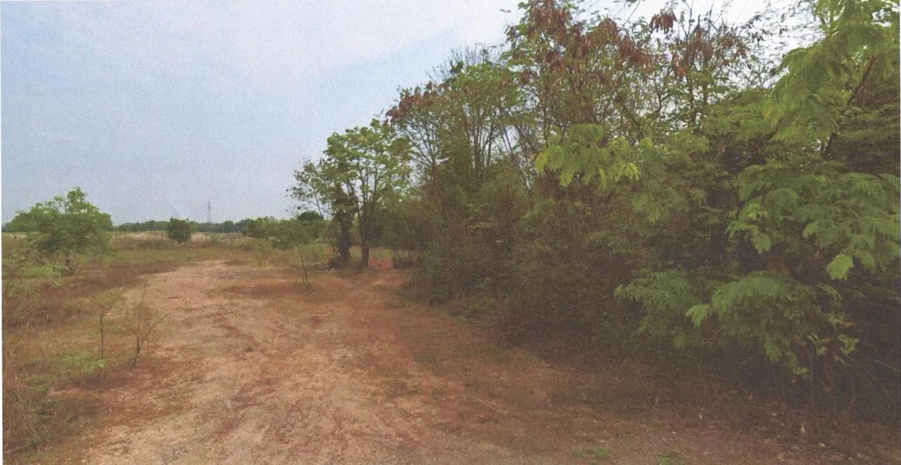 ขายทอดตลาด ที่ดินว่างเปล่า จ.ขอนแก่น