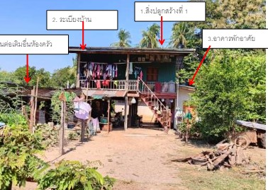 ขายทอดตลาด ที่ดินพร้อมสิ่งปลูกสร้าง ต.หนองแขม อ.พรหมพิราม จ.พิษณุโลก