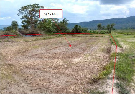 ขายทอดตลาด ที่ดินว่างเปล่า ต.แม่อ้อ อ.พาน จ.เชียงราย
