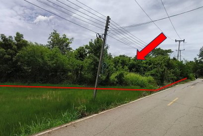 ขายทอดตลาด ที่ดินว่างเปล่า จ.พิจิตร