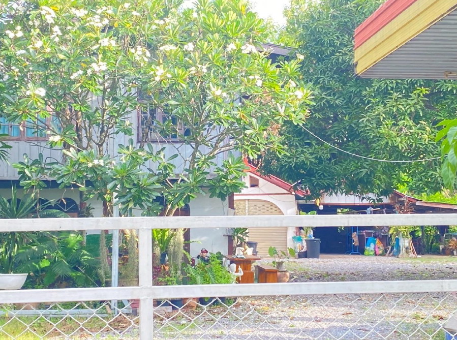 ขายทอดตลาด ที่ดินพร้อมสิ่งปลูกสร้าง ต.นาฝาย อ.ภูผาม่าน จ.ขอนแก่น