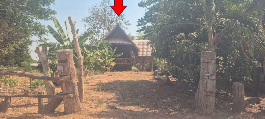 ขายทอดตลาด ที่ดินพร้อมสิ่งปลูกสร้าง ต.โนนทัน อ.หนองเรือ จ.ขอนแก่น