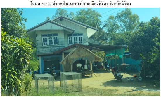 ขายทอดตลาด ที่ดินพร้อมสิ่งปลูกสร้าง ต.ป่ามะคาบ อ.เมืองพิจิตร จ.พิจิตร