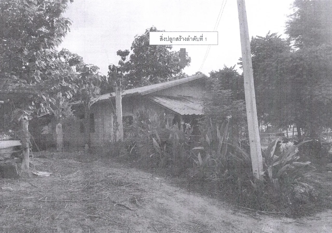 ขายทอดตลาด ที่ดินพร้อมสิ่งปลูกสร้าง ต.ขัวเรียง อ.ชุมแพ จ.ขอนแก่น