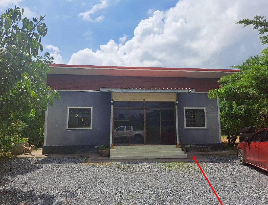 ขายทอดตลาด ที่ดินพร้อมสิ่งปลูกสร้าง ต.หนองไผ่ อ.ชุมแพ จ.ขอนแก่น
