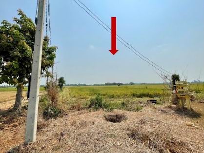ขายทอดตลาด ที่ดินว่างเปล่า จ.พิจิตร
