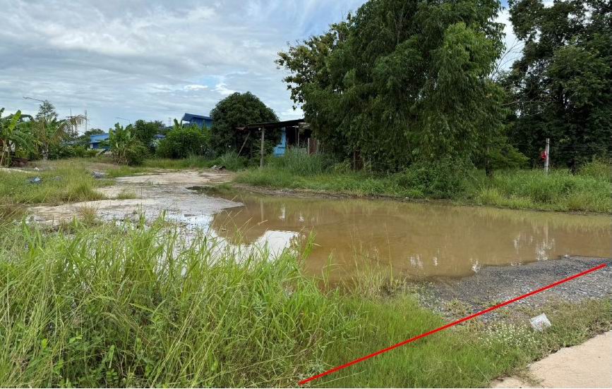 ขายทอดตลาด ที่ดินพร้อมสิ่งปลูกสร้าง ต.บ้านนา อ.วชิรบารมี จ.พิจิตร