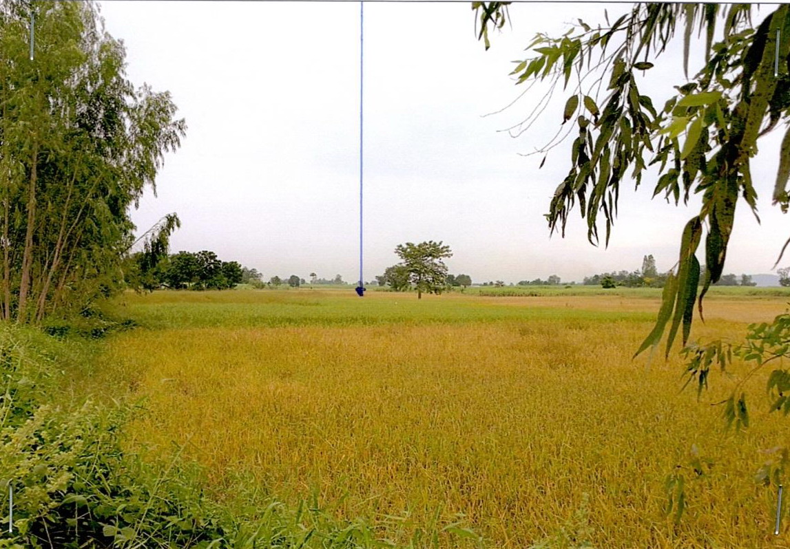 ขายทอดตลาด ที่ดินว่างเปล่า ต.หนองกุงธนสาร อ.ภูเวียง จ.ขอนแก่น