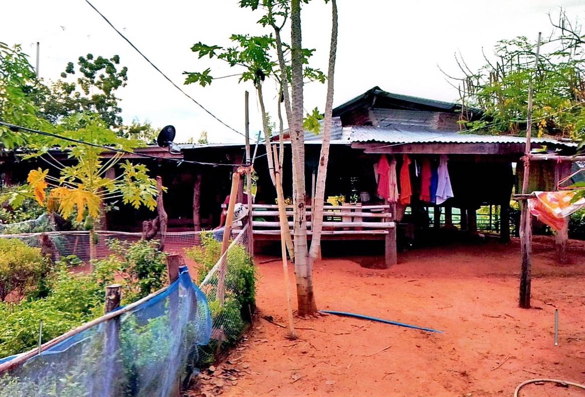 ขายทอดตลาด ที่ดินพร้อมสิ่งปลูกสร้าง ต.โนนทอง อ.หนองเรือ จ.ขอนแก่น