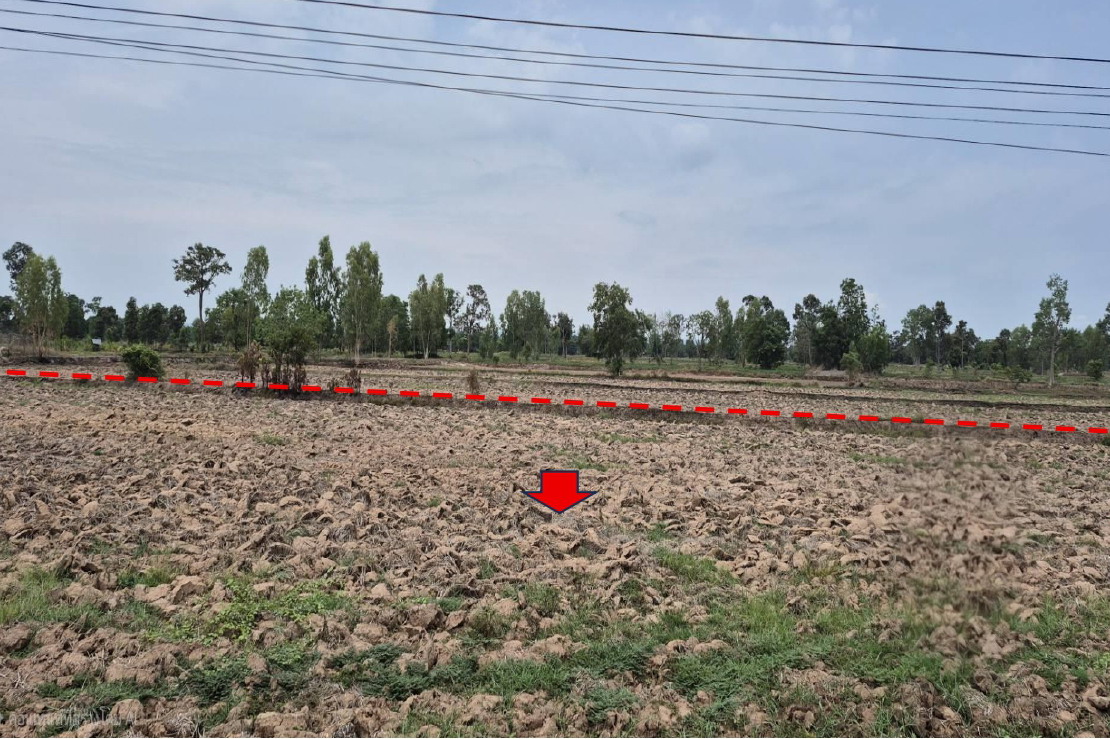 ขายทอดตลาด ที่ดินว่างเปล่า จ.นครราชสีมา