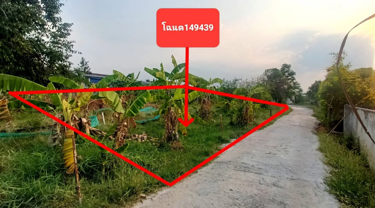 ขายทอดตลาด ที่ดินว่างเปล่า จ.นครราชสีมา