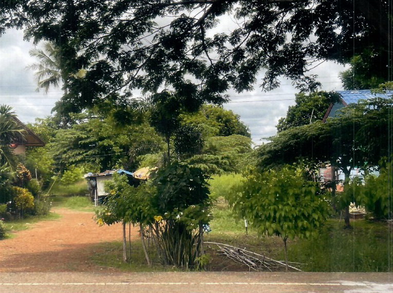 ขายทอดตลาด ที่ดินว่างเปล่า จ.พิจิตร