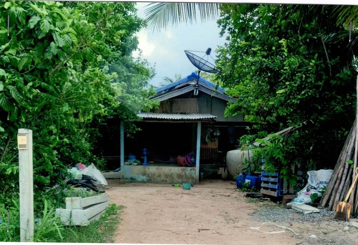 ขายทอดตลาด ที่ดินพร้อมสิ่งปลูกสร้าง ต.นาชุมแสง อ.ภูเวียง จ.ขอนแก่น