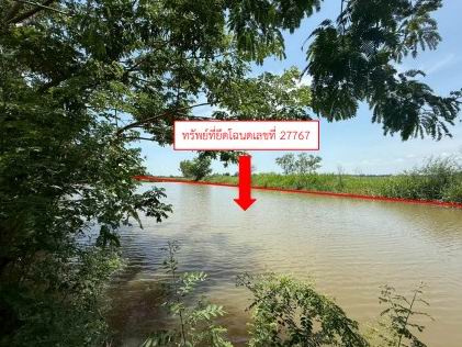 ขายทอดตลาด ที่ดินว่างเปล่า จ.พิษณุโลก