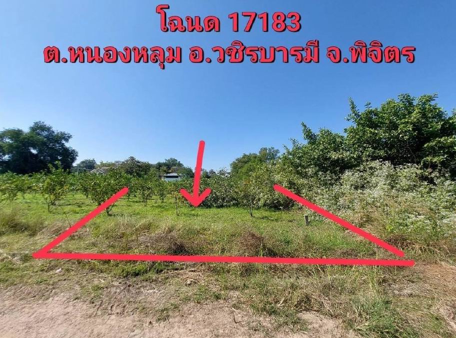 ขายทอดตลาด ที่ดินว่างเปล่า จ.พิจิตร