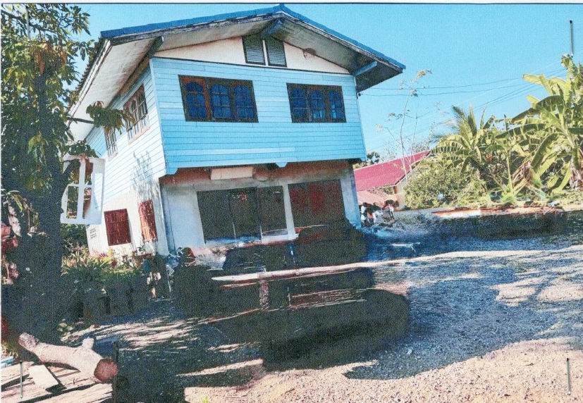 ขายทอดตลาด ที่ดินพร้อมสิ่งปลูกสร้าง ต.วังงิ้ว อ.ดงเจริญ จ.พิจิตร
