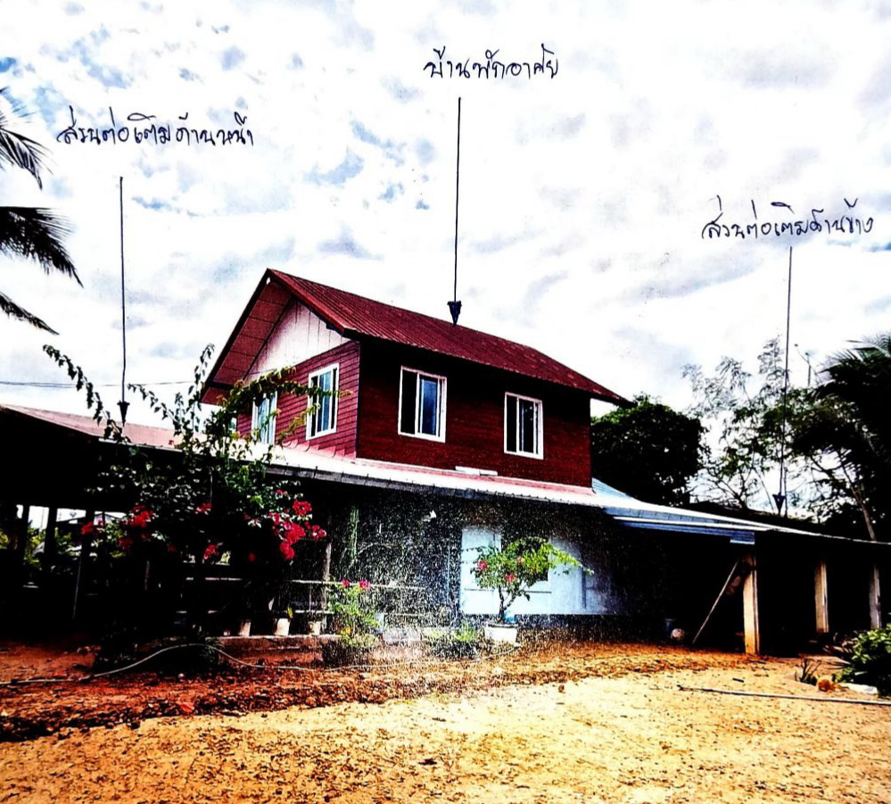 ขายทอดตลาด ที่ดินพร้อมสิ่งปลูกสร้าง ต.วังหินลาด อ.ชุมแพ จ.ขอนแก่น