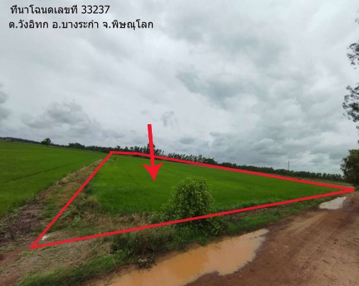 ขายทอดตลาด ที่ดินว่างเปล่า จ.พิษณุโลก