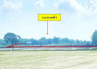 รูปทรัพย์ 2