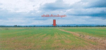 ขายทอดตลาด ที่ดินว่างเปล่า จ.พิจิตร