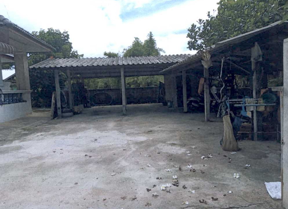 ขายทอดตลาด ที่ดินพร้อมสิ่งปลูกสร้าง ต.แม่กรณ์ อ.เมืองเชียงราย จ.เชียงราย