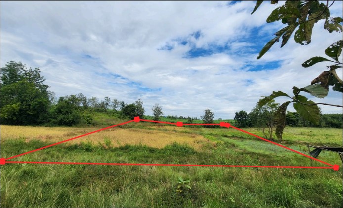ขายทอดตลาด ที่ดินว่างเปล่า จ.พิษณุโลก