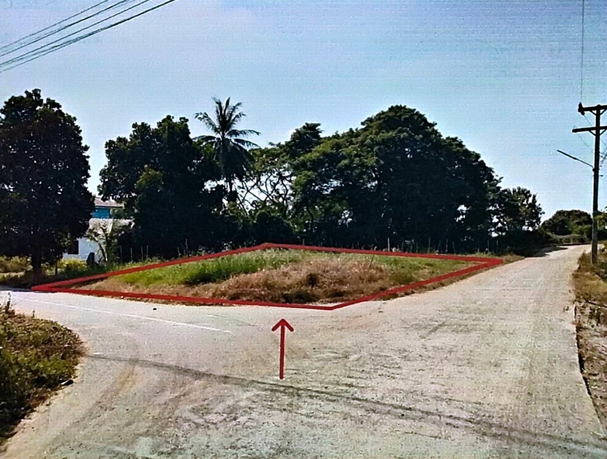 ขายทอดตลาด ที่ดินว่างเปล่า จ.พิจิตร