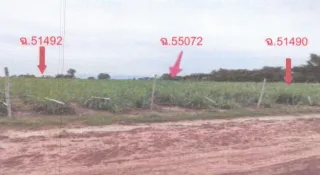 รูปทรัพย์ 2