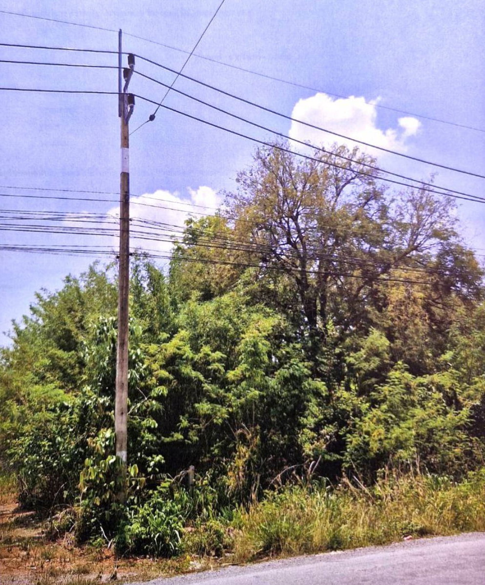 ขายทอดตลาด ที่ดินว่างเปล่า ต.นาหนองทุ่ม อ.ชุมแพ จ.ขอนแก่น