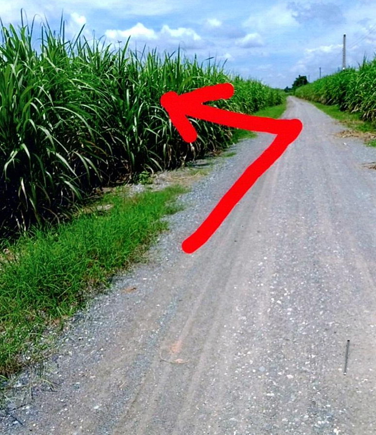 ขายทอดตลาด ที่ดินว่างเปล่า ต.โนนหัน อ.ชุมแพ จ.ขอนแก่น