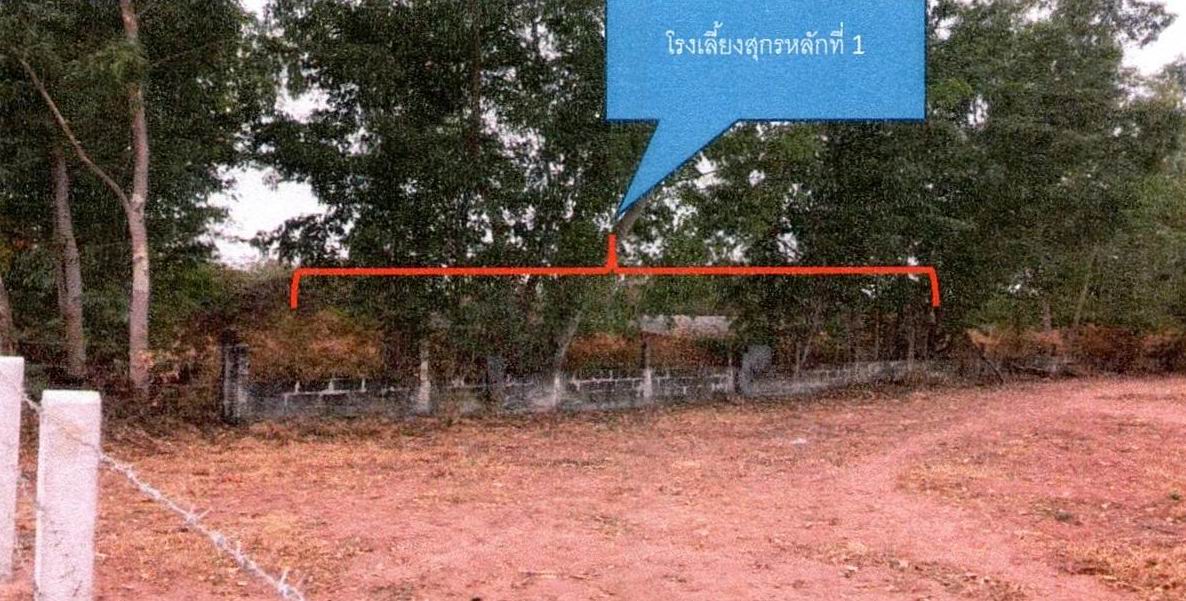 ขายทอดตลาด ที่ดินพร้อมสิ่งปลูกสร้าง ต.สงเปือย อ.ภูเวียง จ.ขอนแก่น