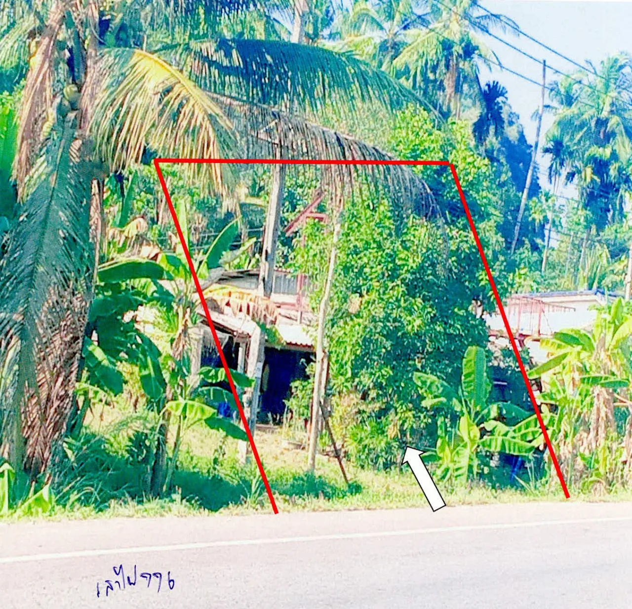ขายทอดตลาด ที่ดินว่างเปล่า จ.กระบี่