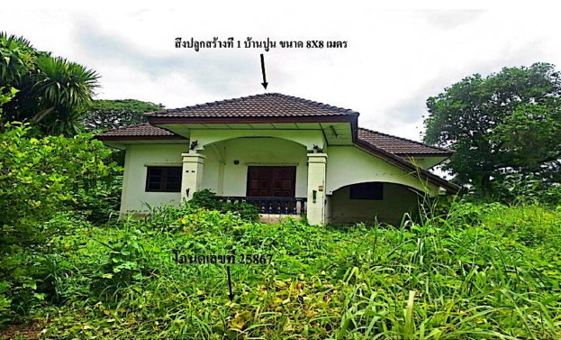 ขายทอดตลาด ที่ดินพร้อมสิ่งปลูกสร้าง ต.ในเมือง อ.เมืองพิจิตร จ.พิจิตร