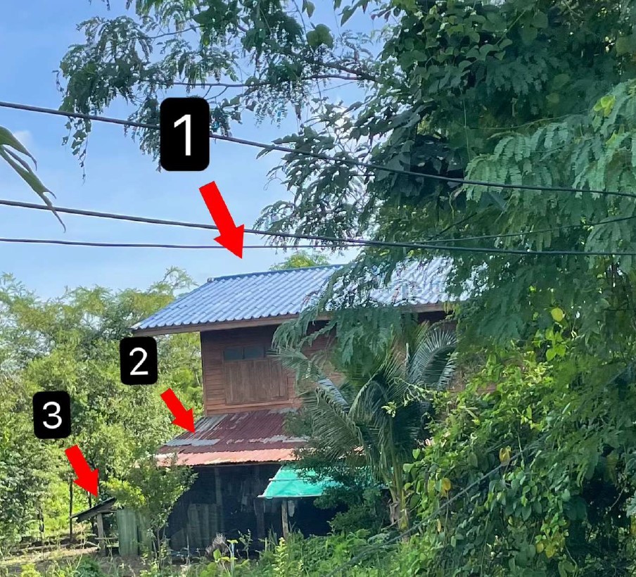 ขายทอดตลาด ที่ดินพร้อมสิ่งปลูกสร้าง ต.ห้วยพุก อ.ดงเจริญ จ.พิจิตร