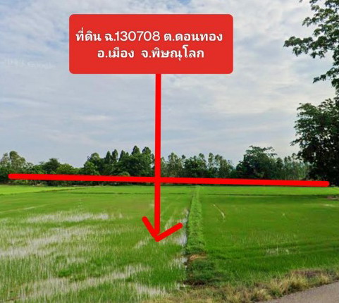 ขายทอดตลาด ที่ดินว่างเปล่า จ.พิษณุโลก
