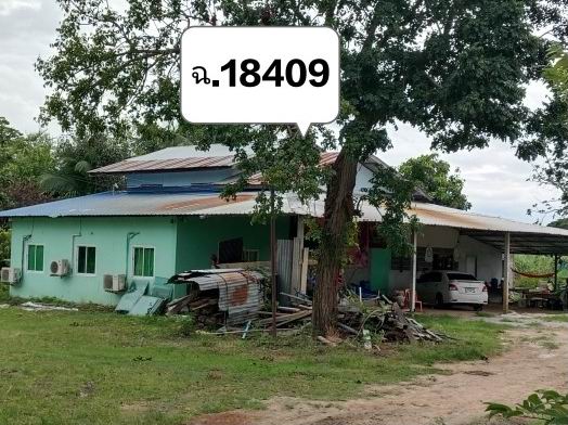 ขายทอดตลาด ที่ดินพร้อมสิ่งปลูกสร้าง ต.ท่าขมิ้น อ.โพทะเล จ.พิจิตร