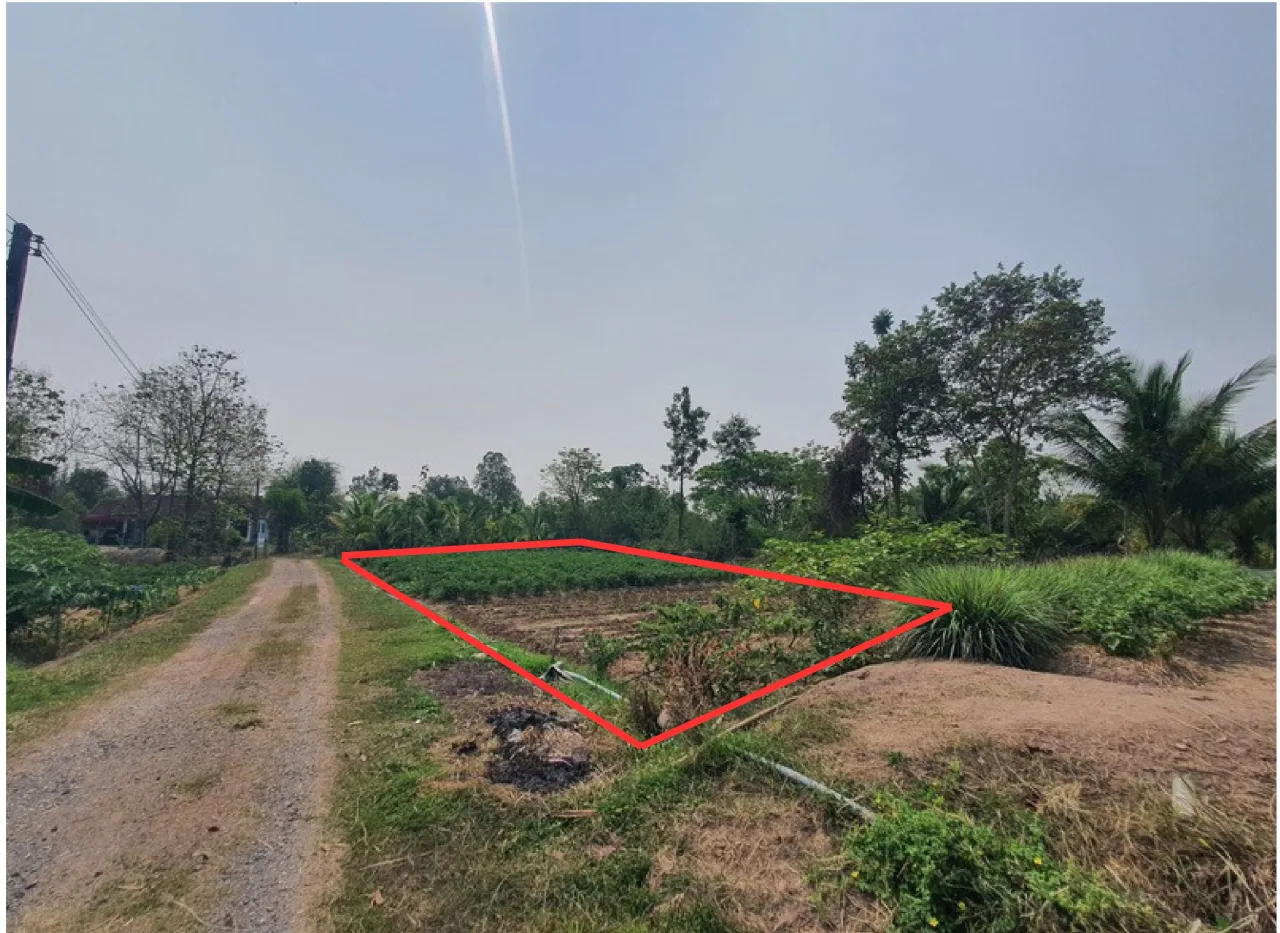 ขายทอดตลาด ที่ดินว่างเปล่า ต.หนองไผ่ อ.ชุมแพ จ.ขอนแก่น