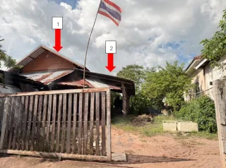 รูปทรัพย์ 1