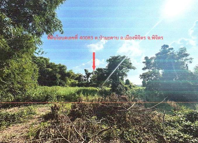 ขายทอดตลาด ที่ดินว่างเปล่า จ.พิจิตร