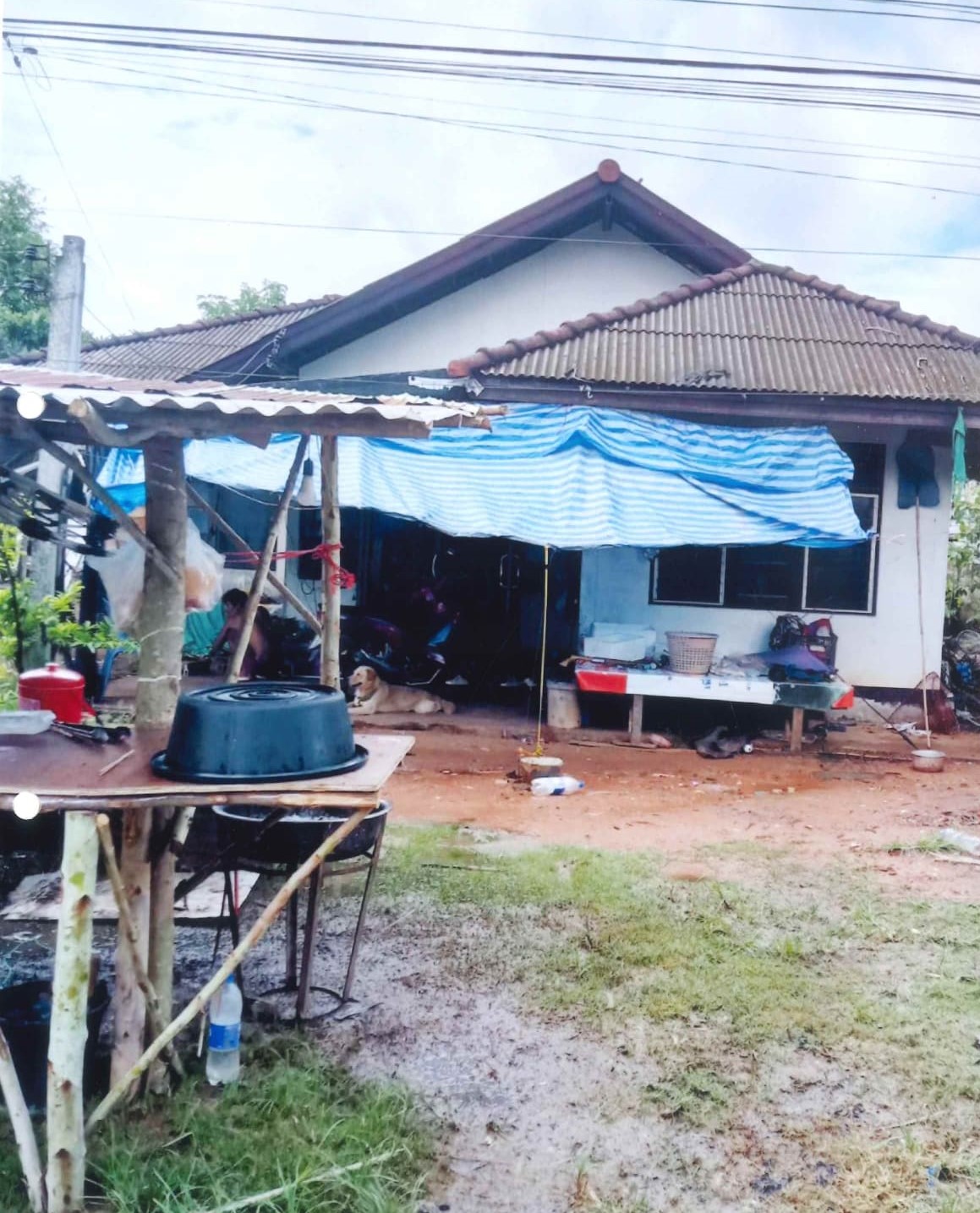 ขายทอดตลาด ที่ดินพร้อมสิ่งปลูกสร้าง ต.โนนสะอาด อ.ชุมแพ จ.ขอนแก่น