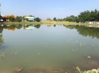 รูปทรัพย์ 2
