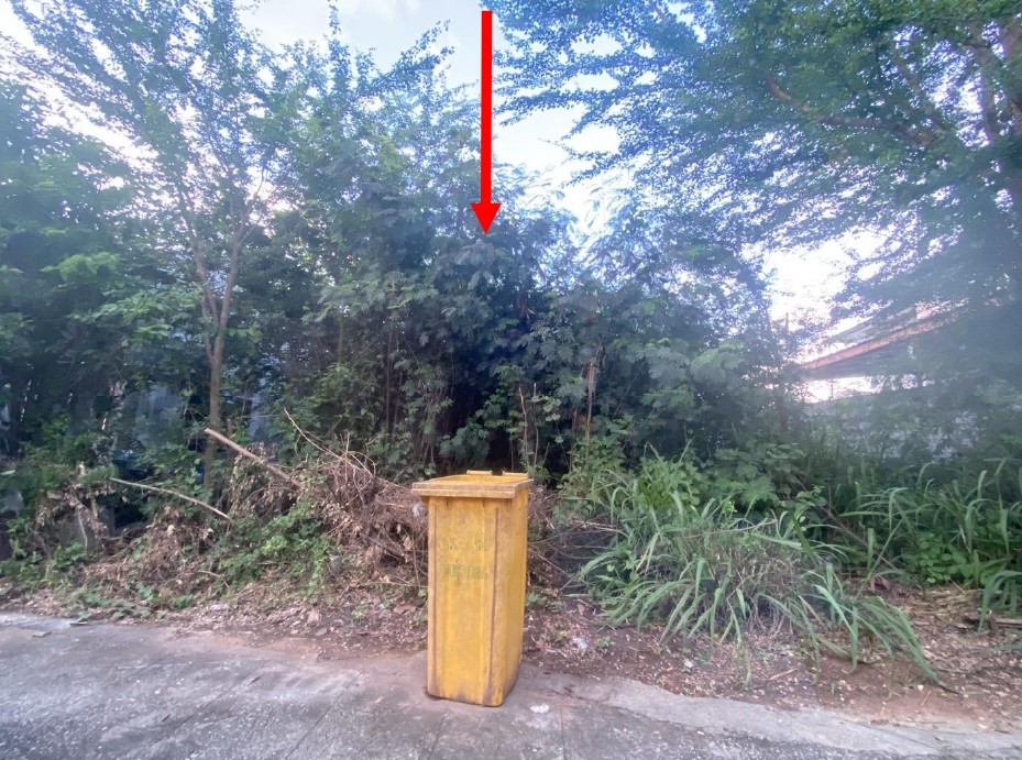ขายทอดตลาด ที่ดินว่างเปล่า ต.บ้านกง อ.หนองเรือ จ.ขอนแก่น
