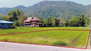 รูปทรัพย์ 3