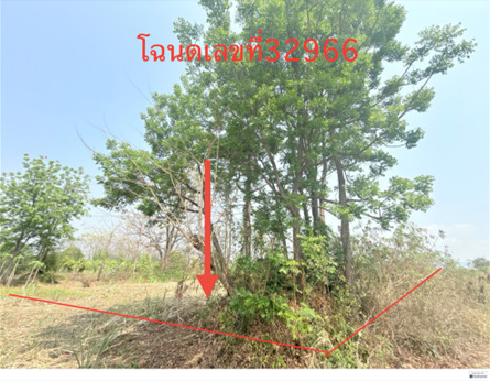 ขายทอดตลาด ที่ดินว่างเปล่า ต.ศรีสุข อ.สีชมพู จ.ขอนแก่น