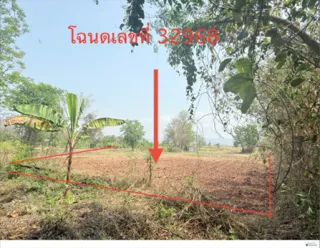 รูปทรัพย์ 2